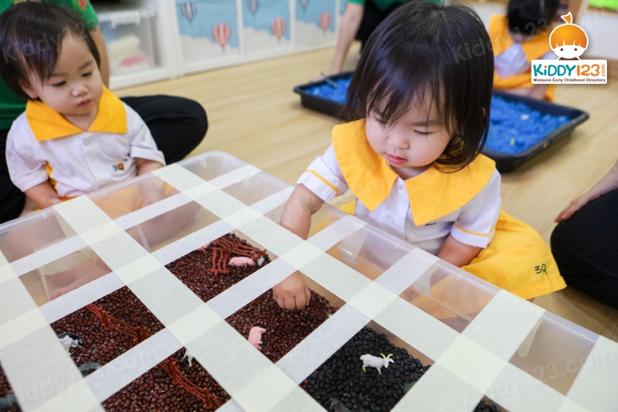 3Q MRC Toddlers, Damai Perdana