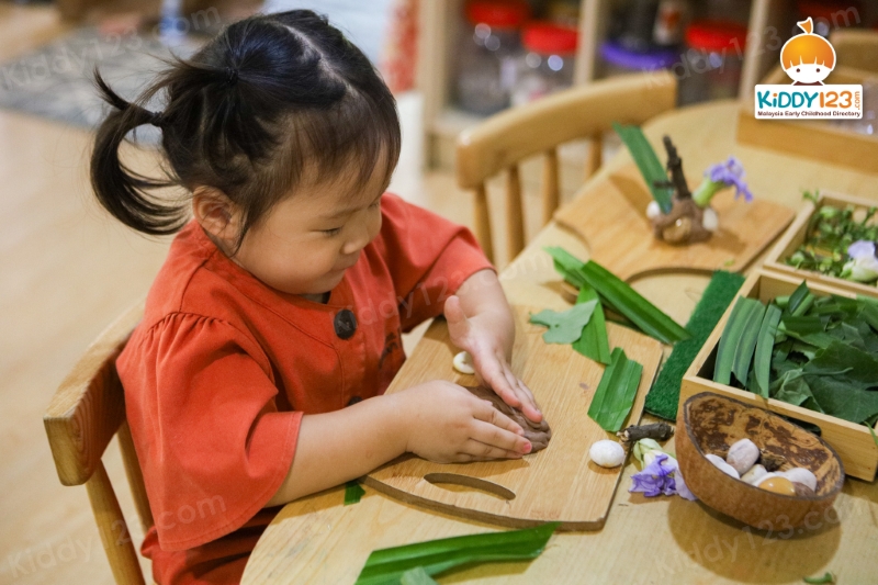 Little Urban Forest, Taman Bukit Desa