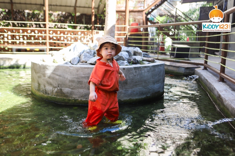 Little Urban Forest, Taman Bukit Desa