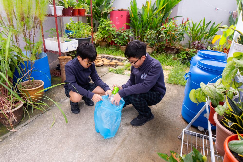 Pine Hills International School (Primary & Secondary), Shah Alam