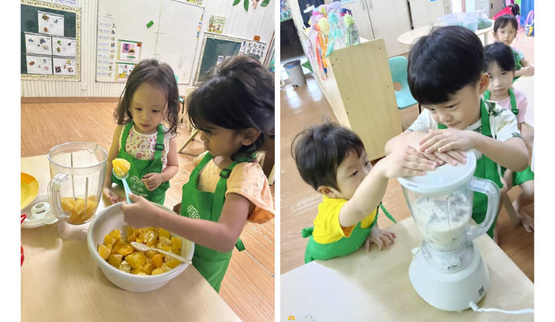 Kinderland Playhouse, Section 14 PJ