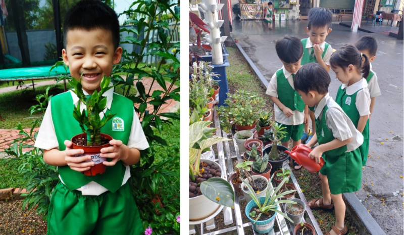 Kinderland Playhouse, Section 14 PJ