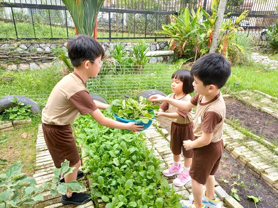 KaydeGarden, Taman Desa, KL