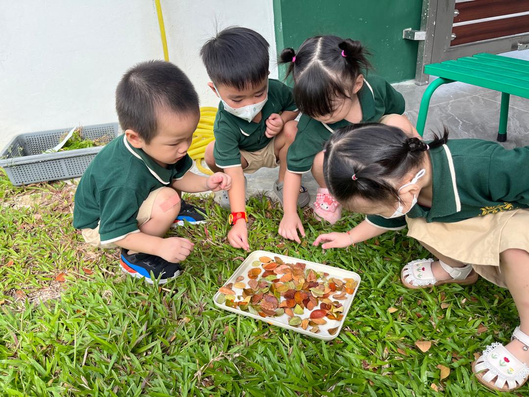 Gem Preschool, Pekan Nanas (Tadika Estetika), Johor Bahru