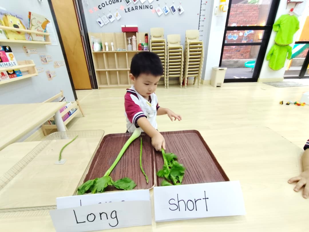 OWL Baby and Childcare Centre, Cyberjaya