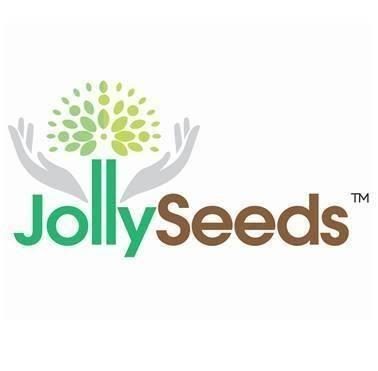 Teacher / Nurse @ Jolly Seeds Educare