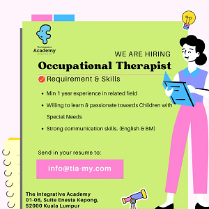 Occupational Therapist @ The Integrative Academy, Kepong