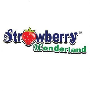 Preschool Teachers @ Strawberry Wonderland Learning Centre, Taman Prima Saujana, Kajang