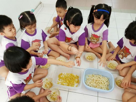 Happy Bear Preschool (Tadika Rimba Ilmu), Selayang