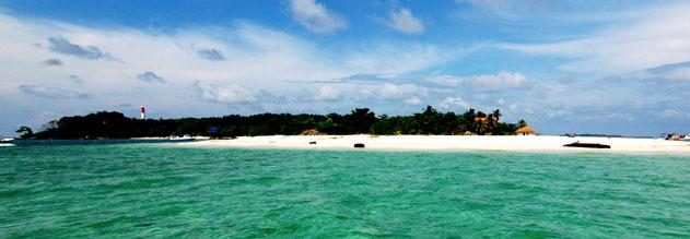 Turtle Island Park