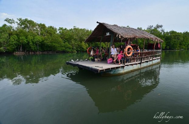 Borneo Kellybays