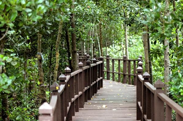 Tanjung Prai National Park