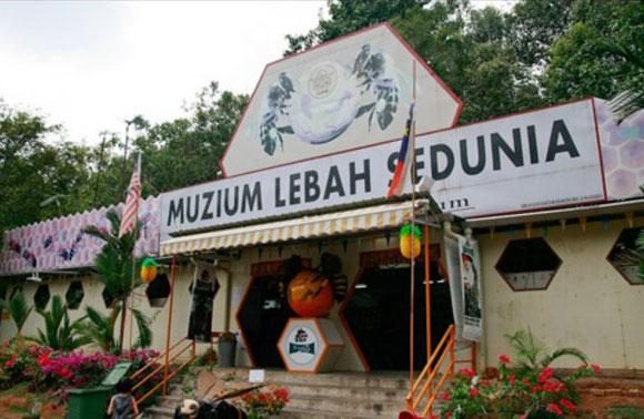 International Bee Musuem