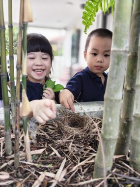Kinder Koala Preschool, Petaling Jaya