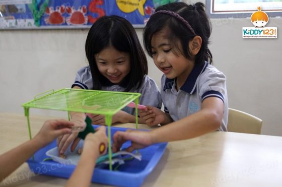 Knowledge Tree Montessori Kindergarten, Ara Damansara