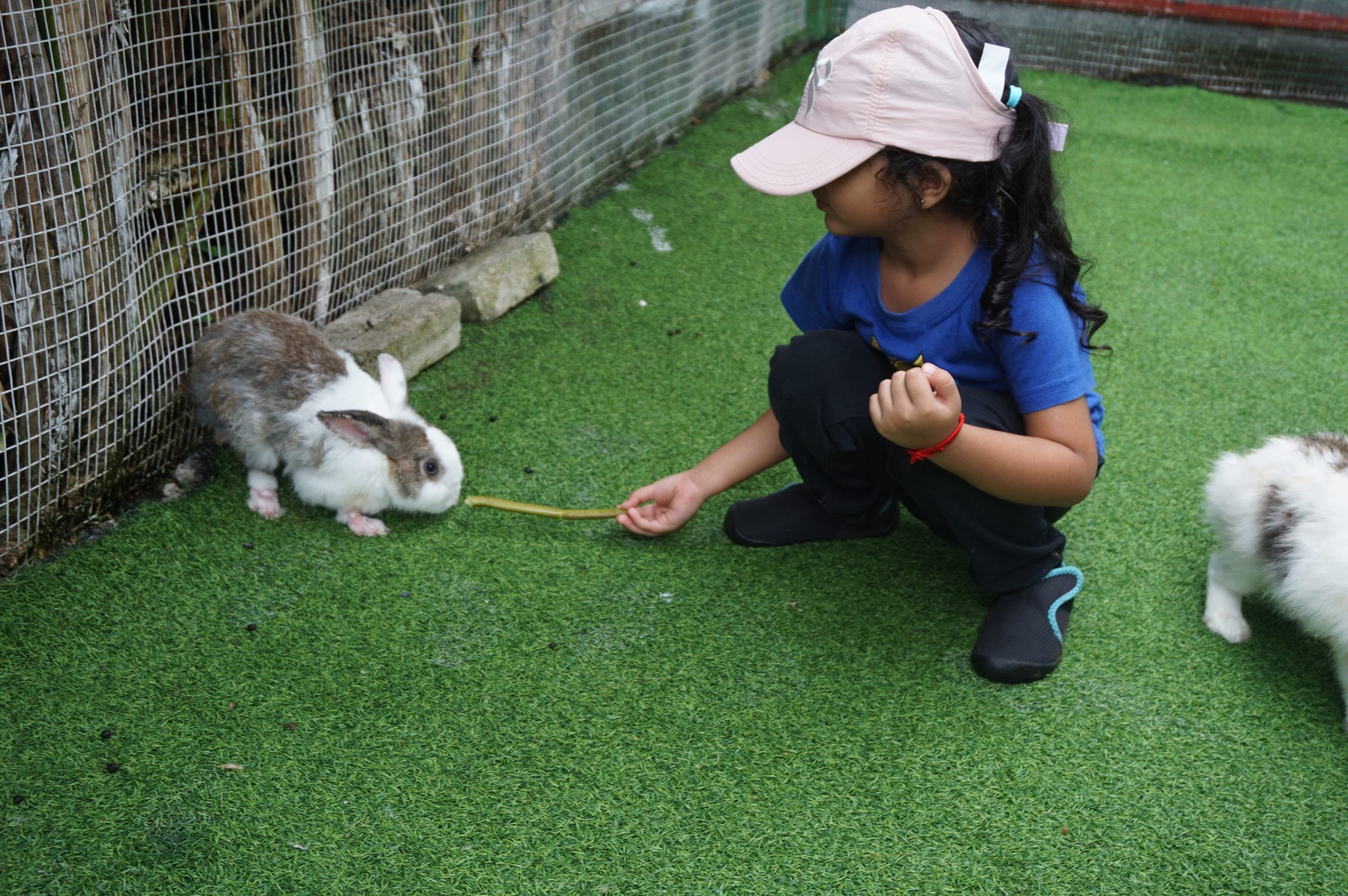 Tadika Montessori Children’s House, Penang