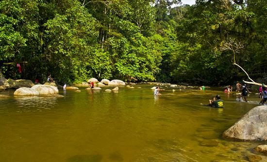 Kuala Woh Recreational Forest