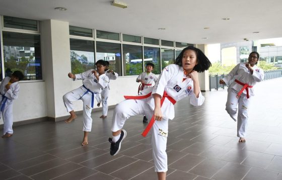 Rafflesia International School (Primary & Secondary), Bandar 16 Sierra, Puchong