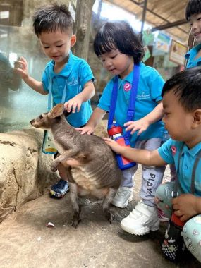 Little Dreamers Childcare Centre, GM Remia, Klang
