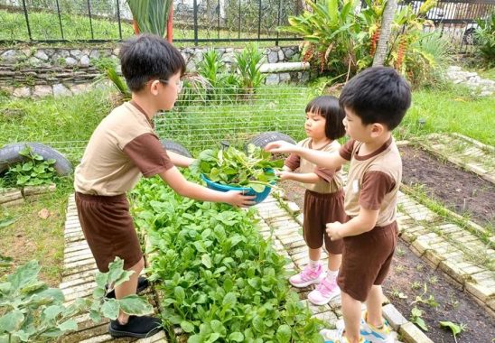 KaydeGarden, Taman Desa, KL
