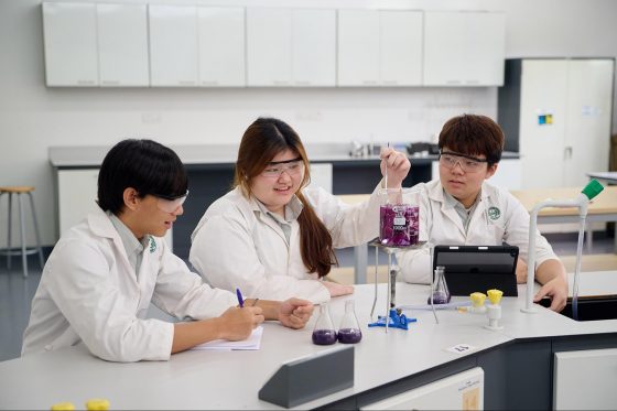 Straits International School (Primary & Secondary), Penang