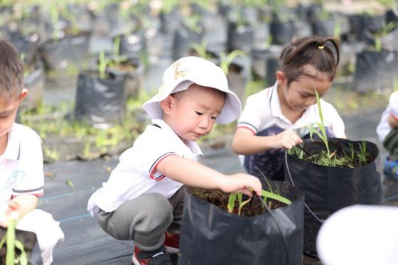 InspiraSeed Kindergarten, Bandar Puteri, Puchong