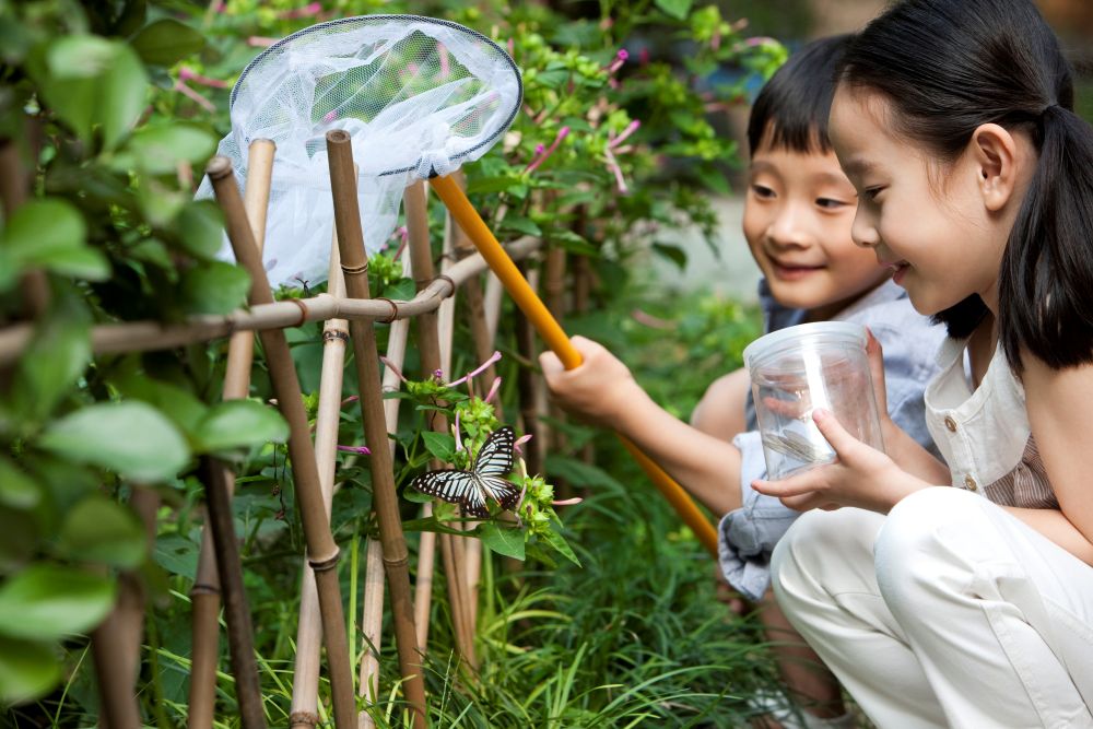 Reggio Emilia-Inspired Learning: Nurturing Curiosity, Creativity, and Character