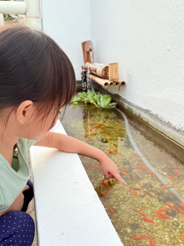 WeiP Little Explorers, Sri Petaling