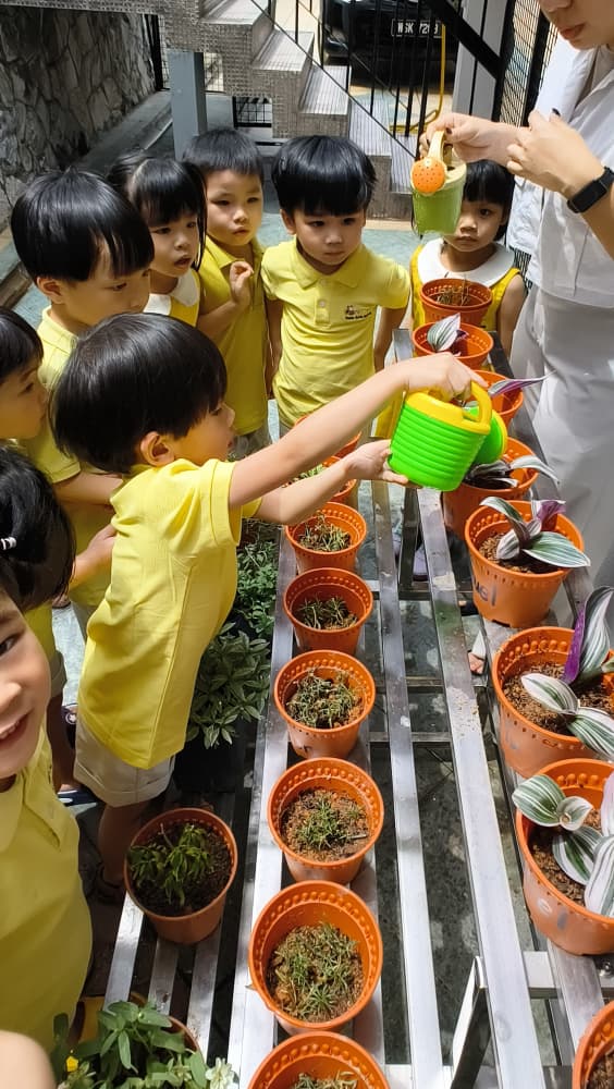 Zero2six, SS2 Petaling Jaya (24 hours childcare)