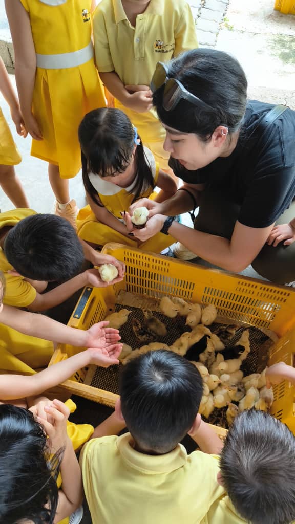 Zero2six, SS2 Petaling Jaya (24 hours childcare)