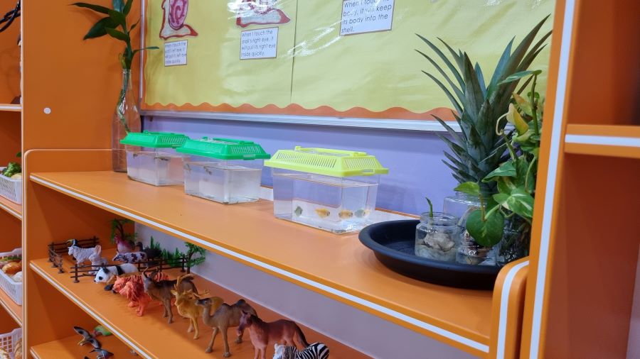 Eduwis Education, Shah Alam