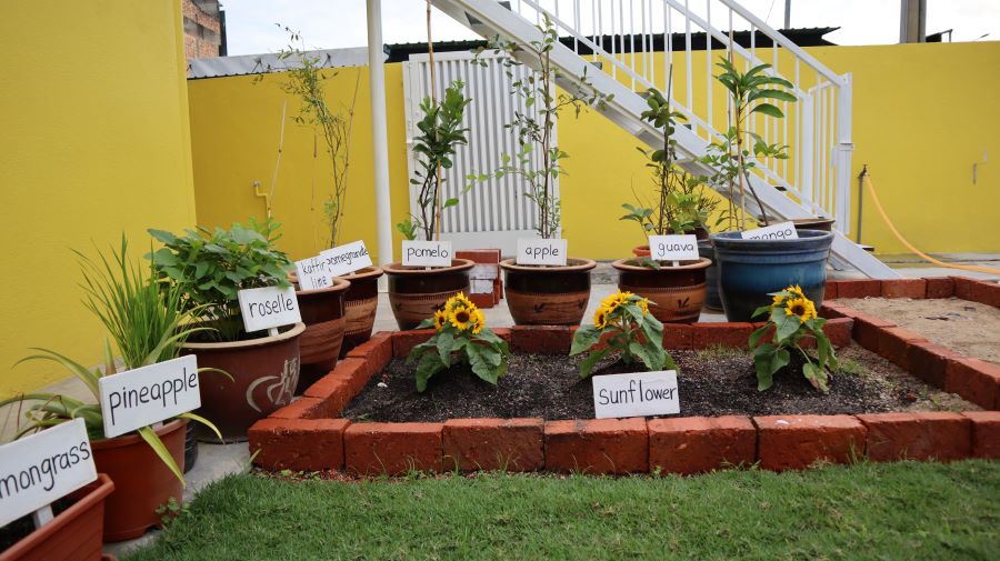 Eduwis Education, Ipoh