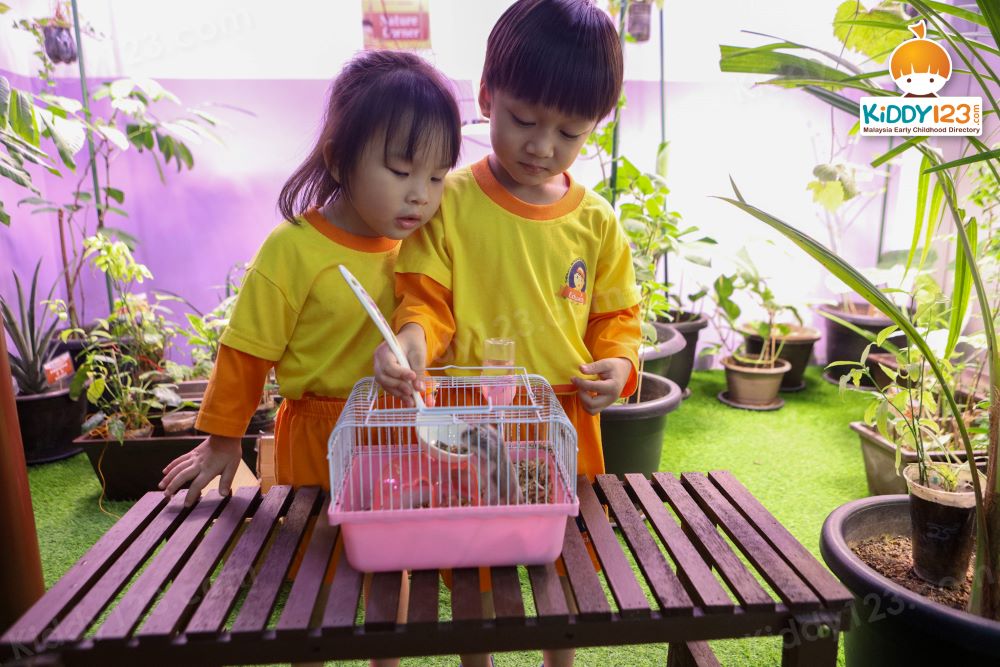 Eduwis Education, Kuala Lumpur