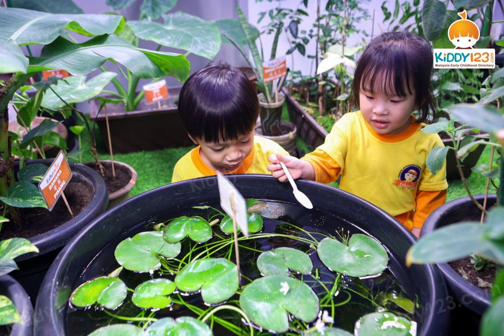 Eduwis Education, Kuala Lumpur