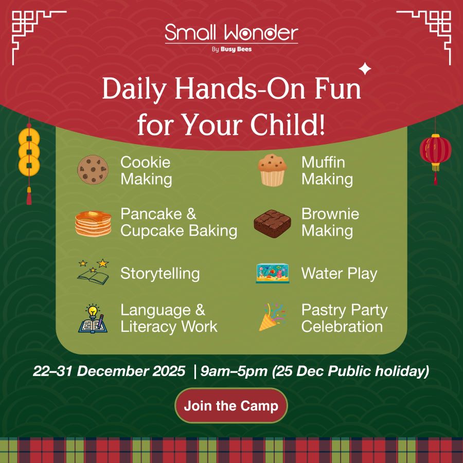 December Camp! Mandarin Programme-甜甜的假期物语 @ Small Wonder Malaysia, Indah Prime, Johor