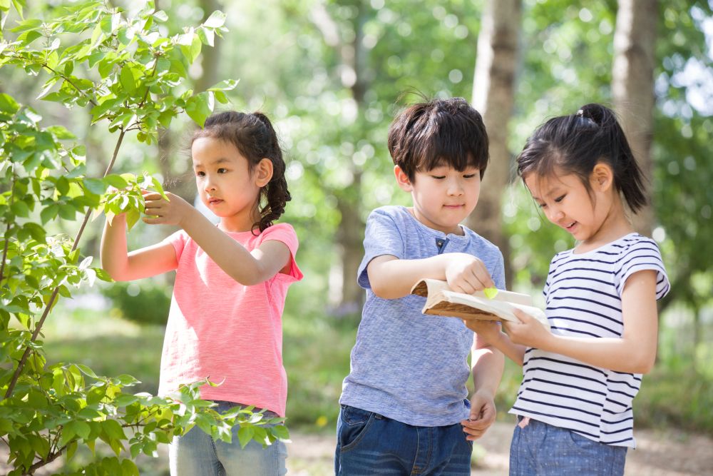 Focus on Six Key Learning Areas in New Preschool Curriculum, Says Education Minister | KiddyNews