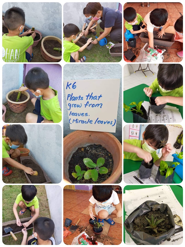 Johan Preschool & Nursery, Bukit Tinggi Klang