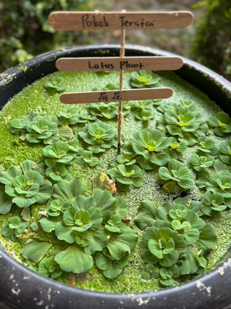 Eduwis Tamarind Square, Cyberjaya