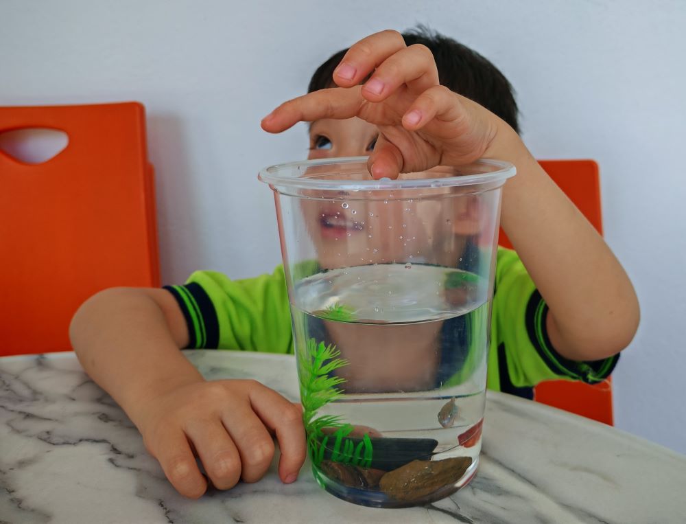 De JowiTop Preschool, Cheras