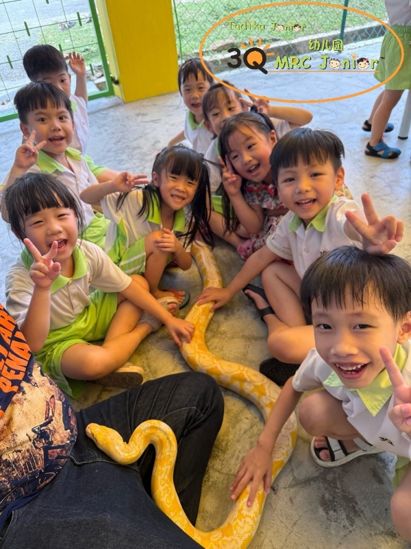 3Q MRC JUNIOR Sungai Dua, Penang