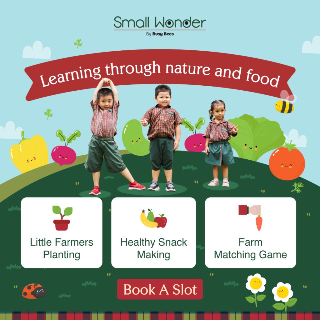 Small Wonder Malaysia, Adda Heights, Johor