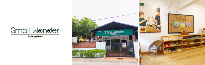 Small wonder ttdi