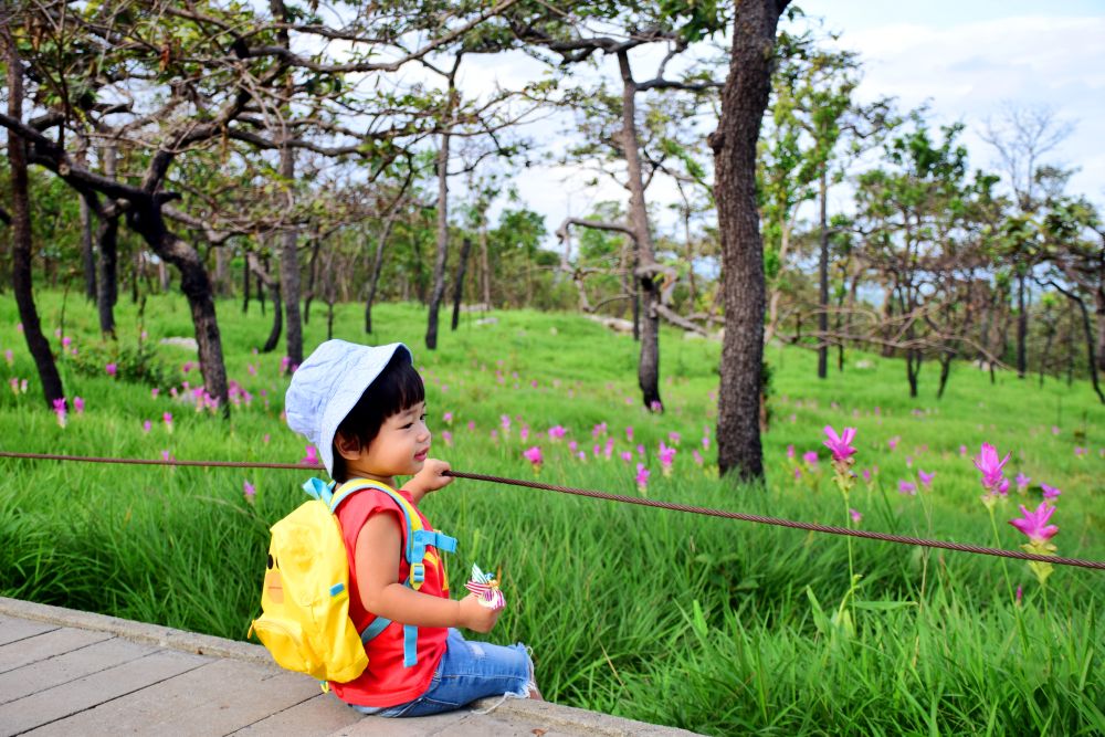 Early Childhood Education Expands Beyond The Classroom As Children’s Needs Evolve | KiddyNews